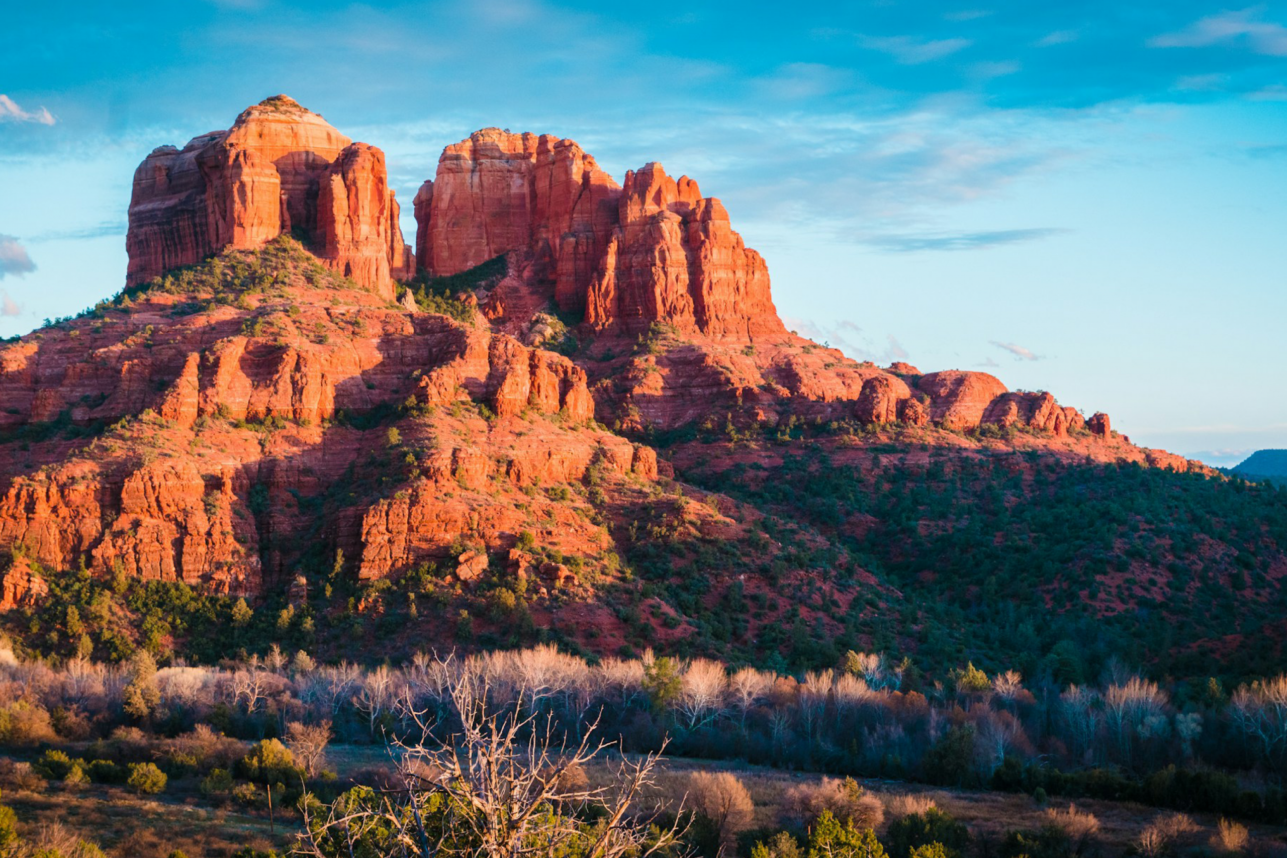 Arizona